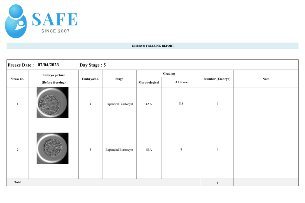 SAFE体験談 胚盤胞イメージ