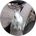 daothip suwanvalaikorn profile picture